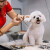 Matsui Offset Dog Grooming Scissor
